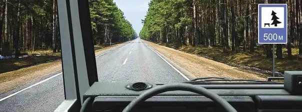 Иллюстрация к вопросу билета 17